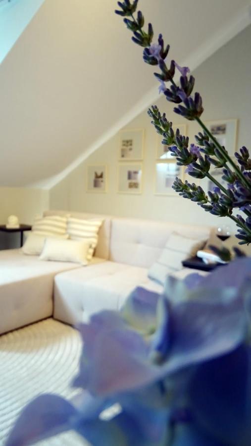 Petite Grey Apartment With Free Private Parking ซาเกร็บ ภายนอก รูปภาพ